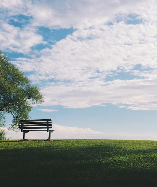 Onoranze funebri - ultimo saluto